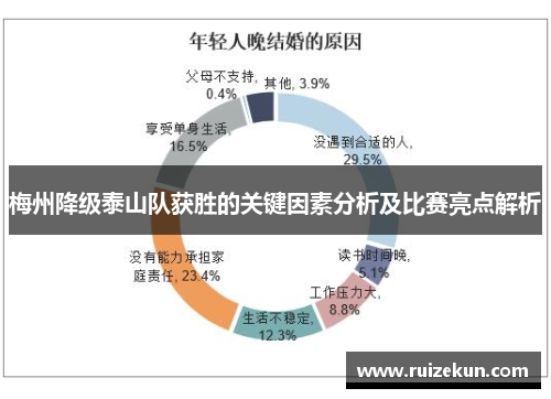 梅州降级泰山队获胜的关键因素分析及比赛亮点解析