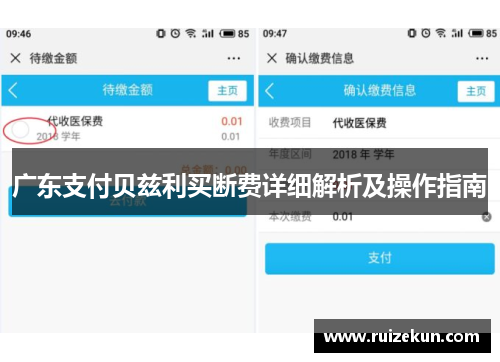 广东支付贝兹利买断费详细解析及操作指南